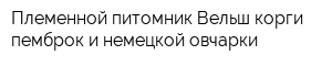 Племенной питомник Вельш корги пемброк и немецкой овчарки