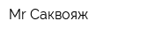 MrСаквояж