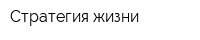Стратегия жизни