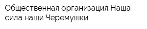 Общественная организация Наша сила-наши Черемушки