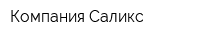 Компания Саликс