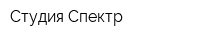Студия Спектр