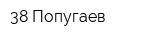 38 Попугаев