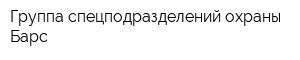 Группа спецподразделений охраны Барс