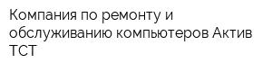 Компания по ремонту и обслуживанию компьютеров Актив ТСТ