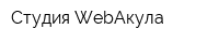 Студия WebАкула
