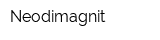 Neodimagnit