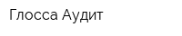 Глосса-Аудит