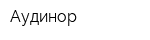 Аудинор