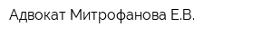 Адвокат Митрофанова ЕВ