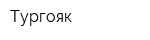 Тургояк