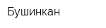 Бушинкан