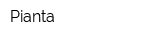 Pianta