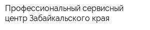 Профессиональный сервисный центр Забайкальского края