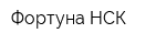 Фортуна-НСК