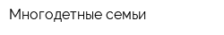 Многодетные семьи