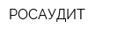 РОСАУДИТ