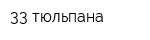 33 тюльпана