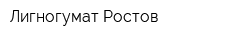 Лигногумат-Ростов