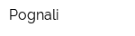Pognali