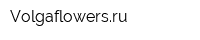 Volgaflowersru