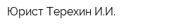Юрист Терехин ИИ