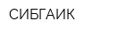 СИБГАИК