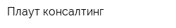 Плаут консалтинг