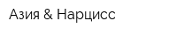 Азия & Нарцисс