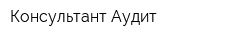 Консультант-Аудит