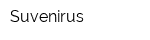 Suvenirus