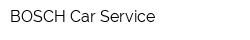 BOSCH Car Service