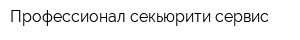 Профессионал секьюрити сервис