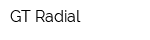 GT Radial