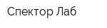 Спектор Лаб