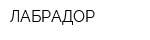 ЛАБРАДОР