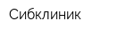 Сибклиник