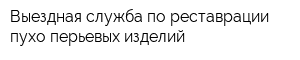 Выездная служба по реставрации пухо-перьевых изделий