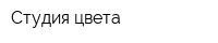Студия цвета