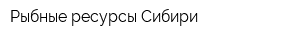 Рыбные ресурсы Сибири