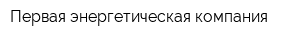 Первая энергетическая компания