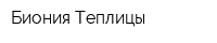 Биония-Теплицы