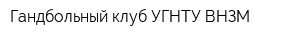 Гандбольный клуб УГНТУ-ВНЗМ