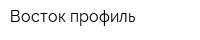 Восток-профиль