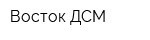 Восток-ДСМ