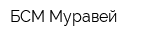 БСМ Муравей