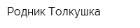 Родник Толкушка