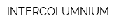 INTERCOLUMNIUM