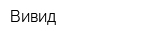 Вивид
