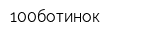 100ботинок